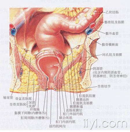 龙剑论坛：不一样的社交体验