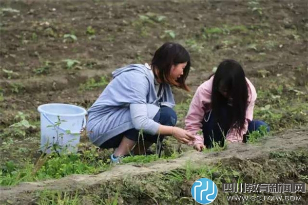 校园开心农场_qq校友开心农场_校园开心农场标语希望