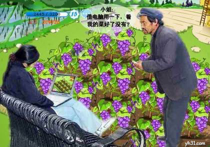 偷菜挂_偷菜挂_偷菜挂