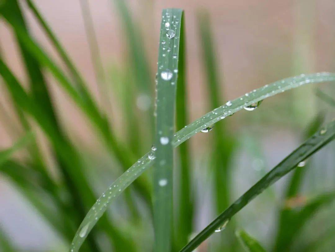 雨后小故事 qq闪图_雨后小故事 qq闪图_雨后小故事 qq闪图