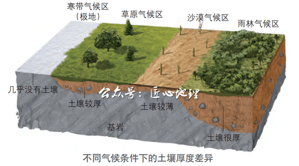 生化战场图标大全_生化战场封面_生化战场图标