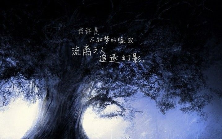 星空梦幻龙族：神秘历史与多彩生活