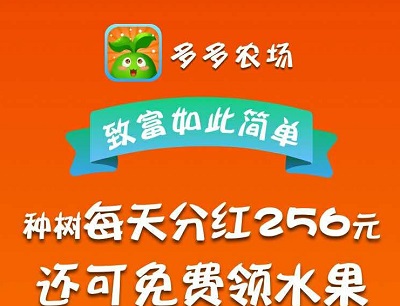 qq农场打开后一片空白_qq农场 空白_农场空白的图片