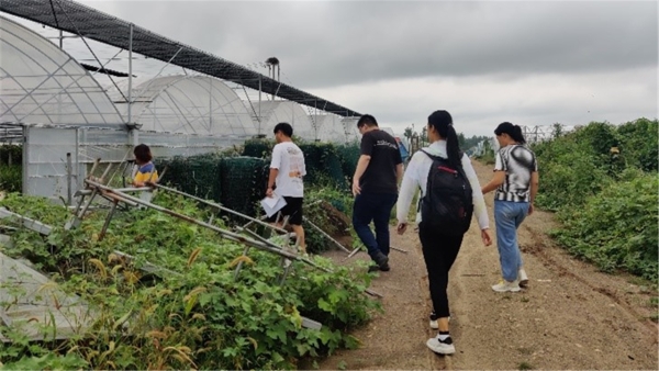 qq农场升级最快办法_qq农场怎么样升级快_qq农场怎么升级版本