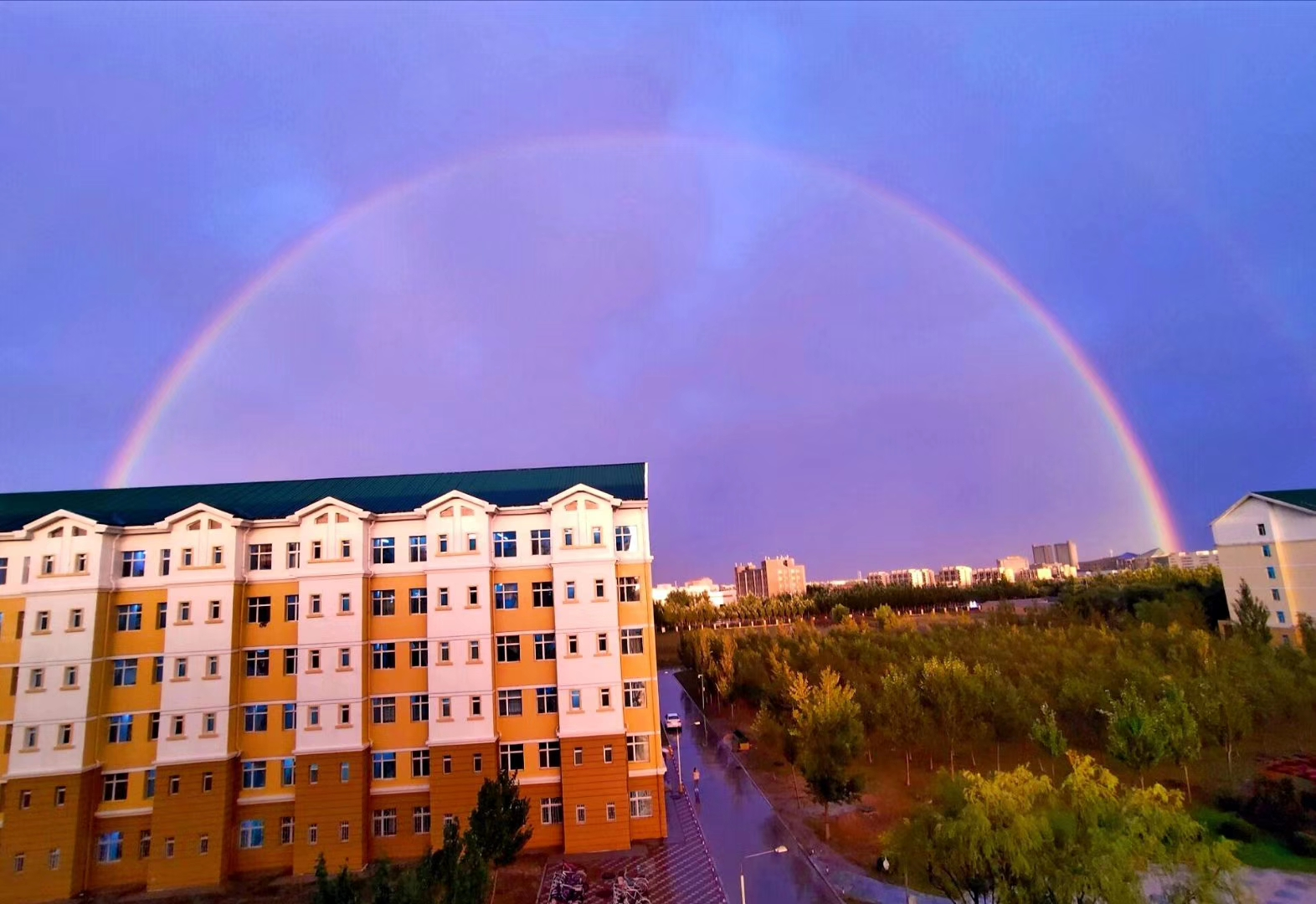 挂太阳绘本_qq挂太阳_挂太阳旗的明星