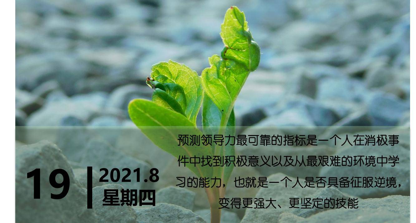 神武如意 修炼之路：奠定根基，持之以恒，共享经验，身心平衡