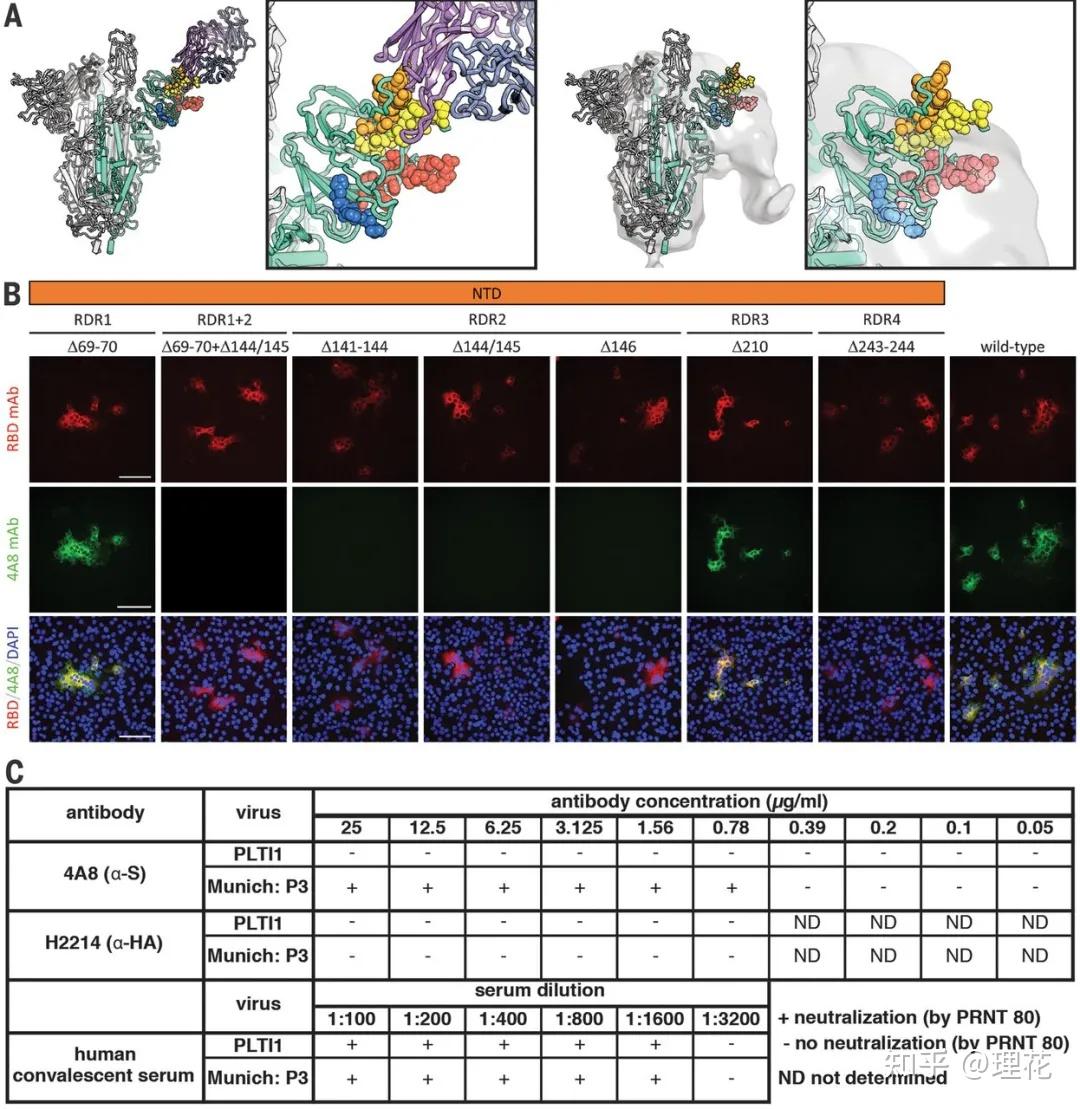 wavepdb_WavePDB手机版_wavepdb