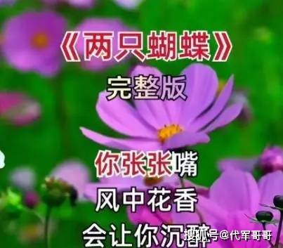 虐杀原形2秘密吸收吉诺维斯_虐杀原形2怎么秘密吸收博士_虐杀原形2吸收