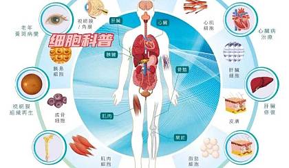 佣兵资料_大乐斗佣兵资质_佣兵资质卓越