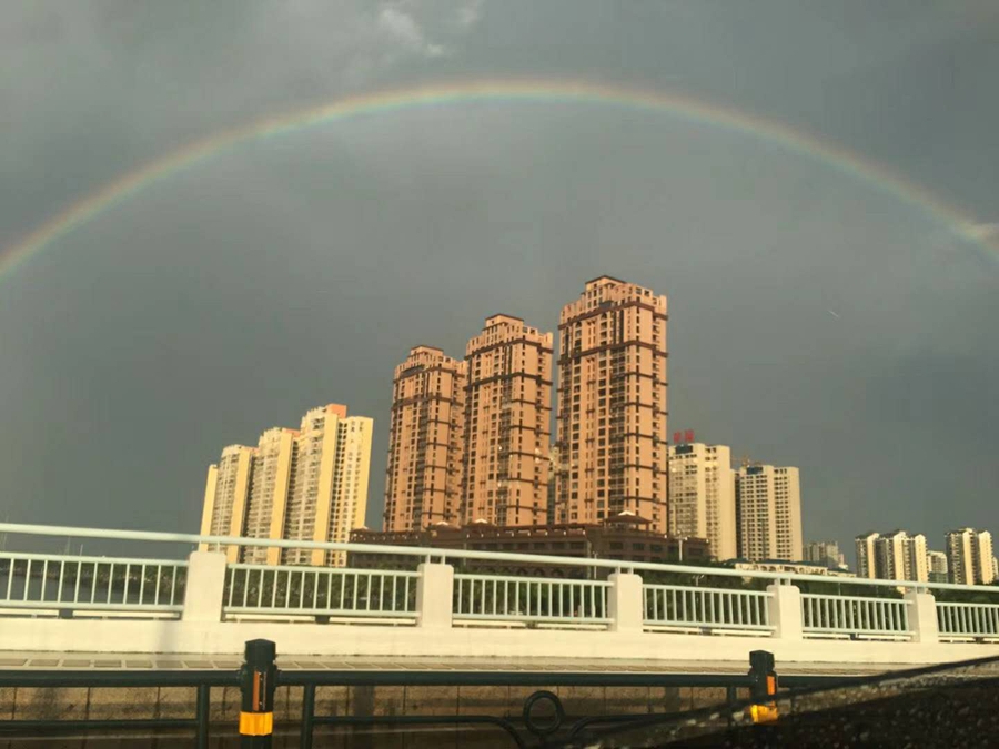 雨后小故事播放图片_雨后小故事播放图片_雨后小故事播放图片