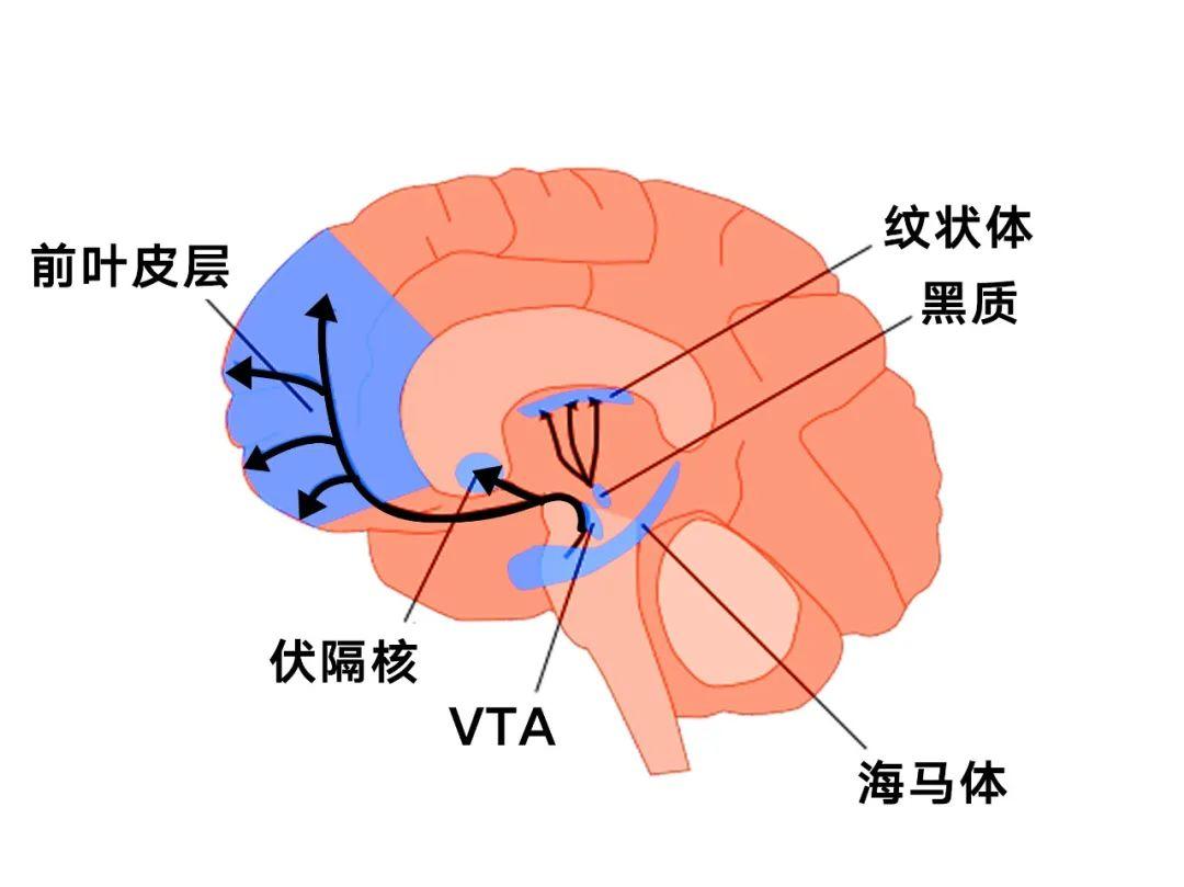 无底洞怎么通关_斗战神混沌模式怎么进_斗战神无底洞怎么进