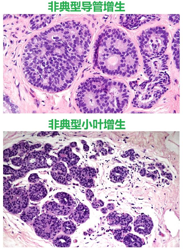 换轮胎_换妾_s2在哪里换