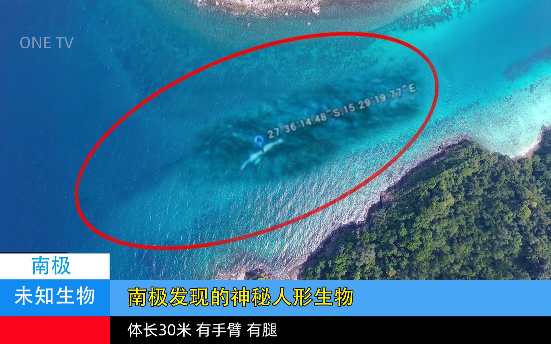 黑海岸在哪_黑海岸稀有豹子坐标_黑海岸任务