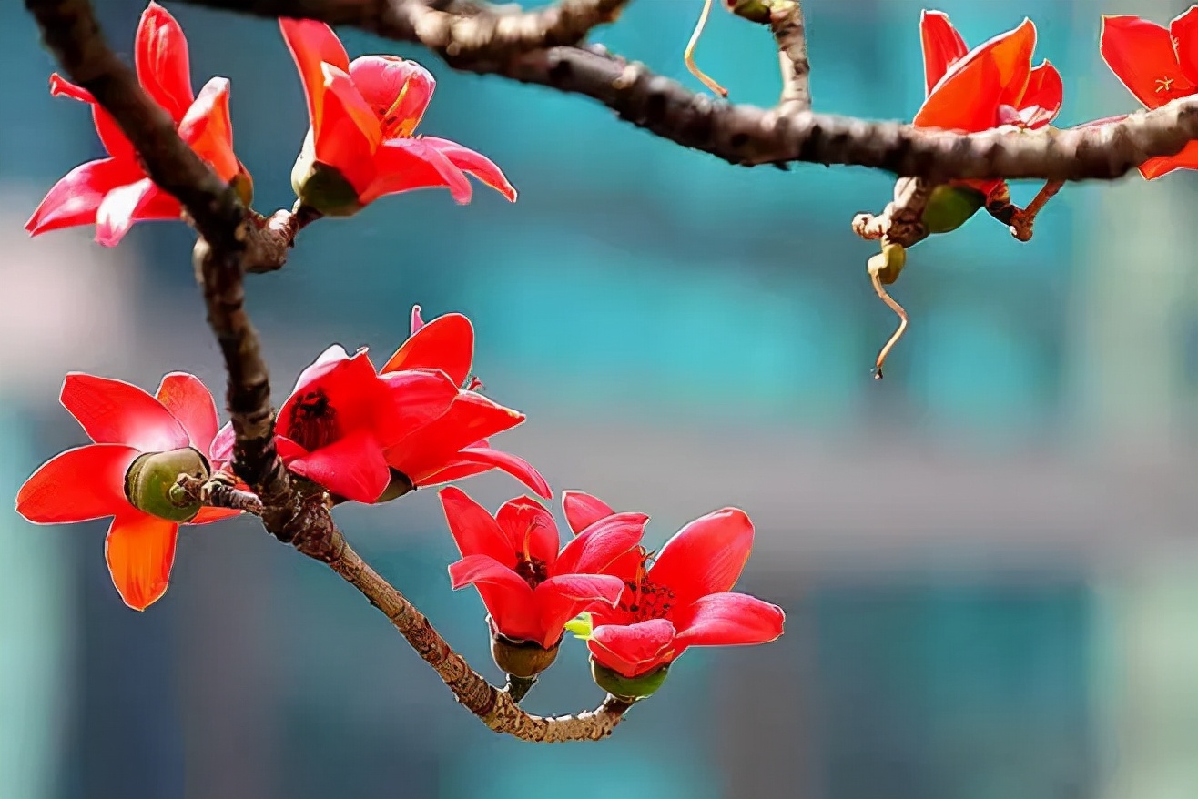 花名册格式_花名册表格格式_花名册文档