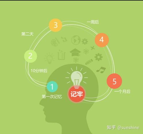 揭秘人类记忆：勿忘我无法存档的心理机制