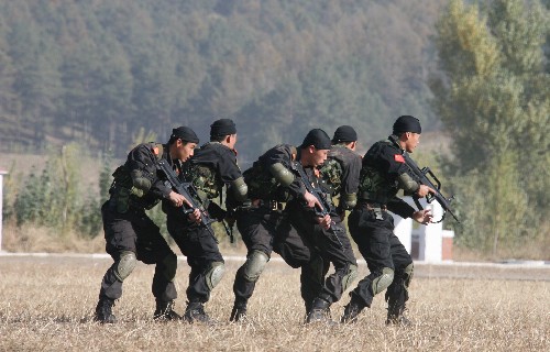 哨兵有什么用_哨兵手游_哨兵的游戏怎么做