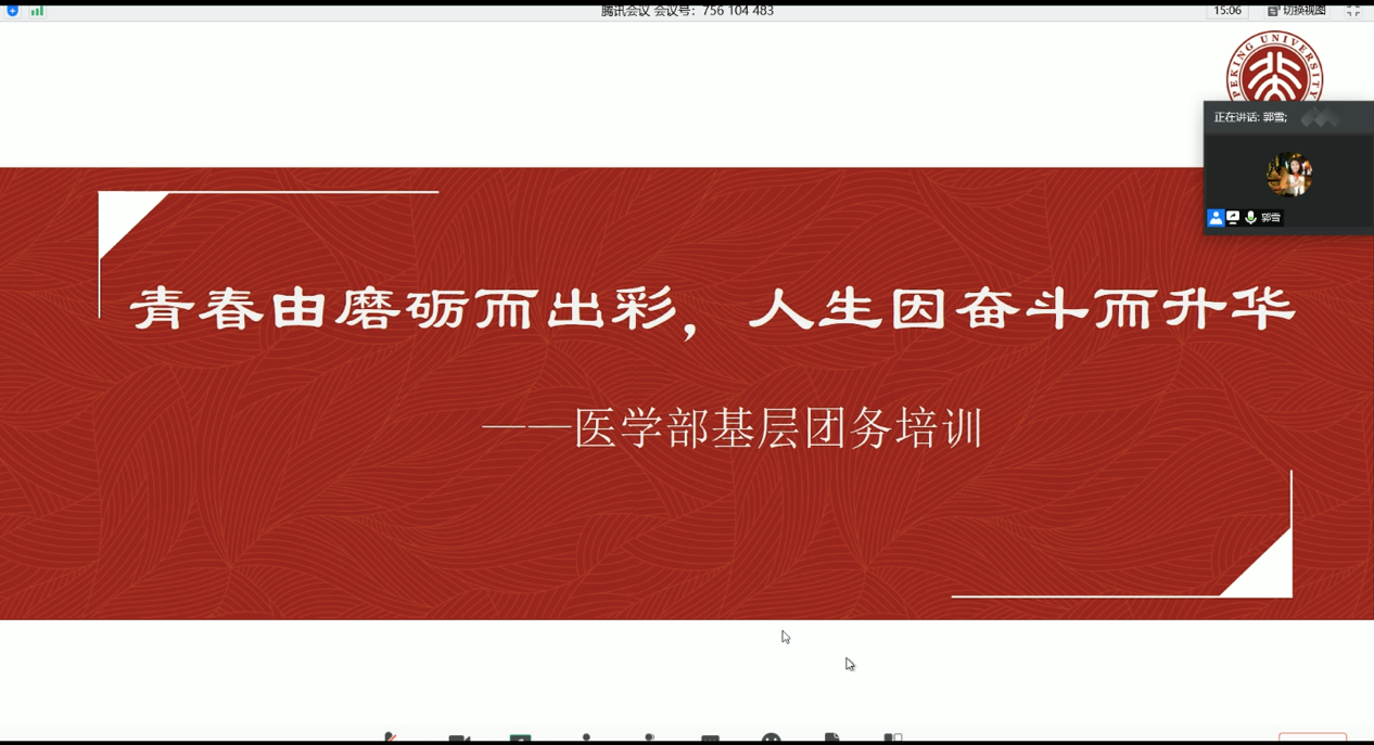 精炼石中盐_精炼石中盐是什么专业做的_精炼石中盐怎么获得