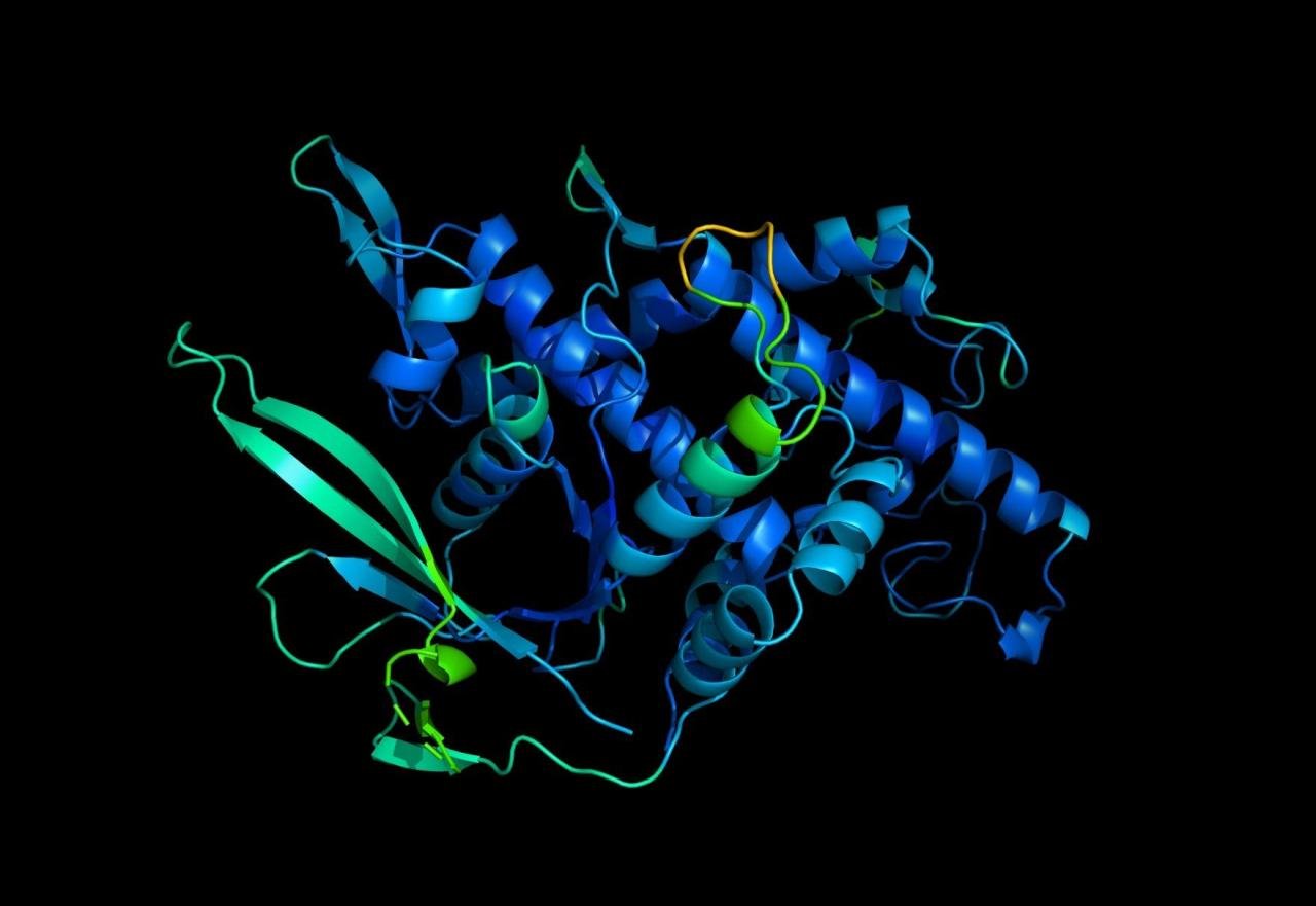 wavepdb 揭秘WavePDB：蛋白质世界之谜的新钥匙