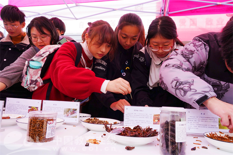 怎么去昆莱山_昆莱山怎么去_昆莱山迷宫解决方法