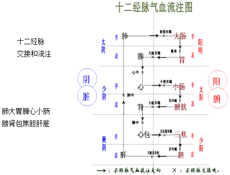 奇经八脉模拟_模拟奇经八脉_pt奇经八脉模拟器