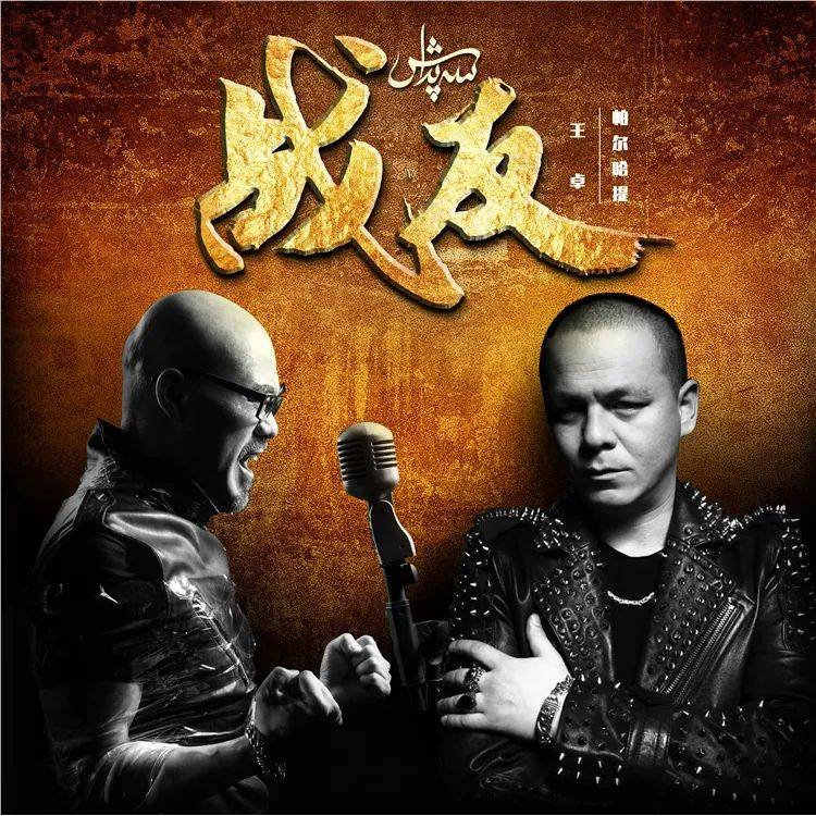 中国海豚音小王子：传承与创新，音乐之路的精彩探索