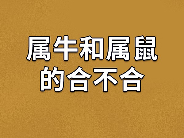 最牛钉子户下手特别狠_最牛钉子户游戏_最牛钉子户小游戏