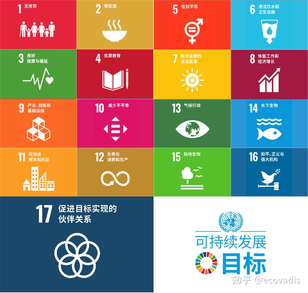 联合国舞台上的中国巨人：全球治理的关键推手