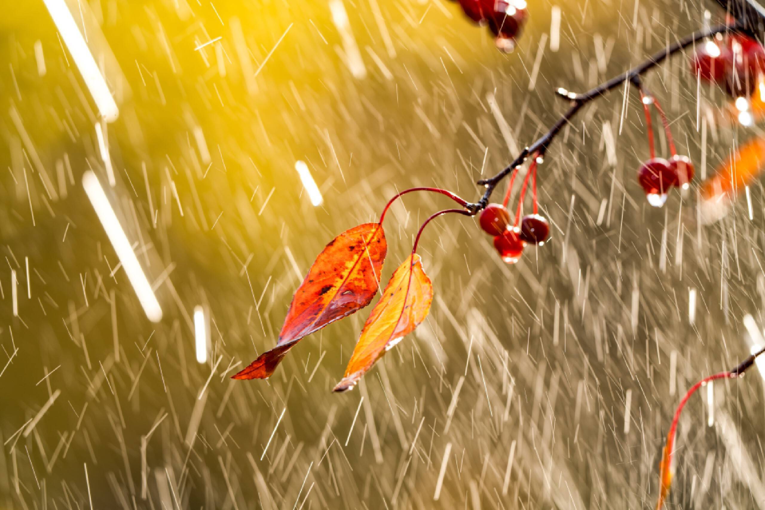 雨后小巷探幽：老妇人笑迎深水坑，引发街头韵味与小巷神秘的对比