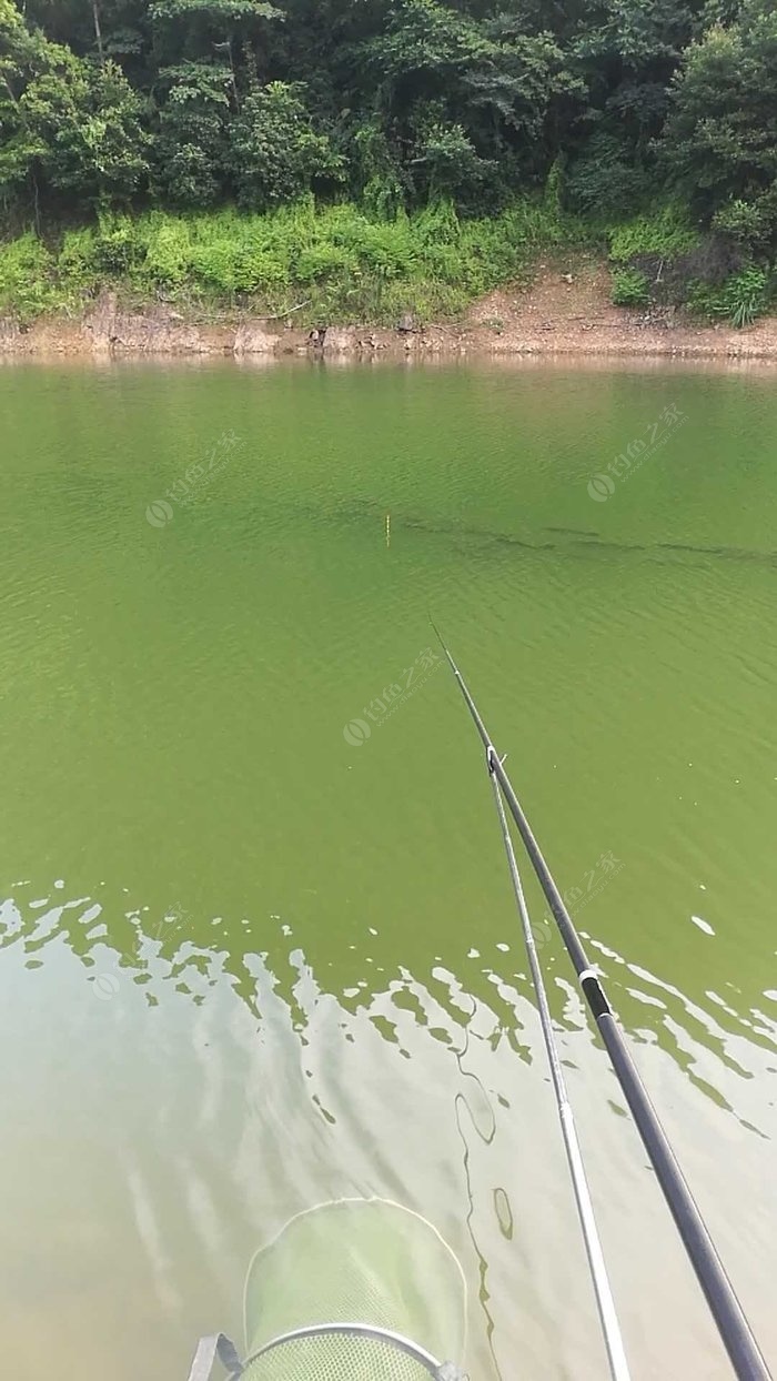 钓鱼梦想之旅_钓鱼梦想之旅无限钻石_梦想世界钓鱼