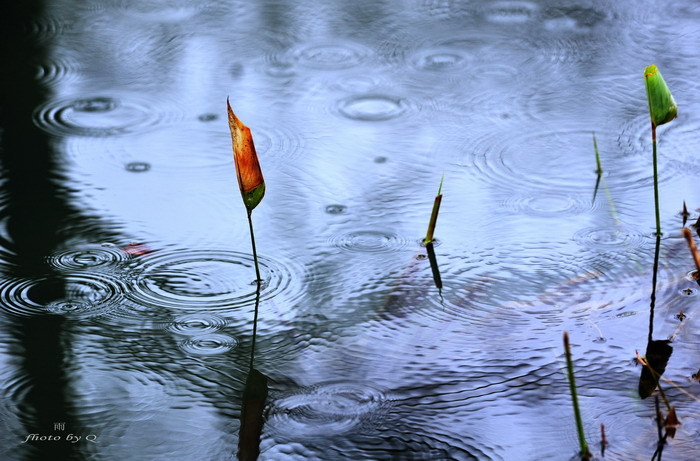 雨后小的故事qq闪图_雨后小的故事qq闪图_雨后小的故事qq闪图