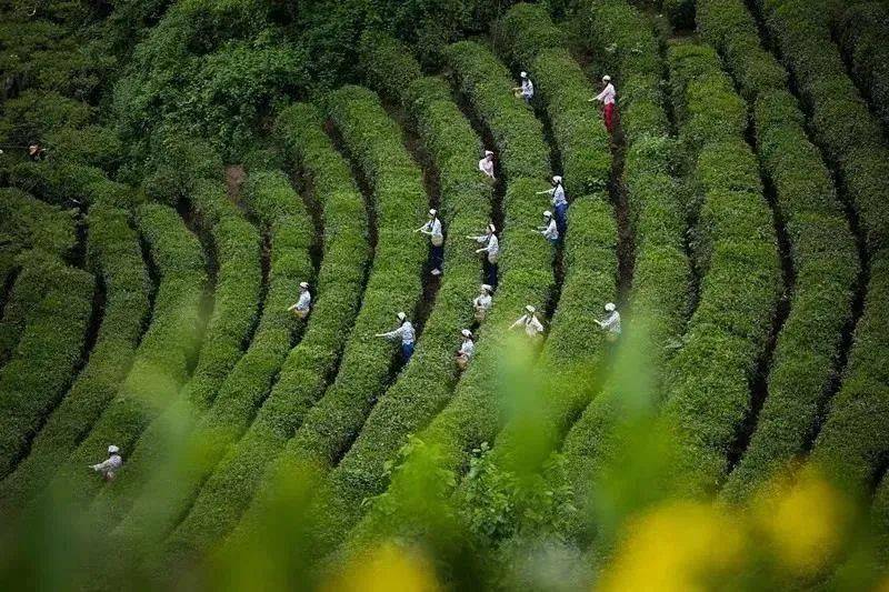 梦想三国女英雄_梦想三国女反派_三国梦想女娲