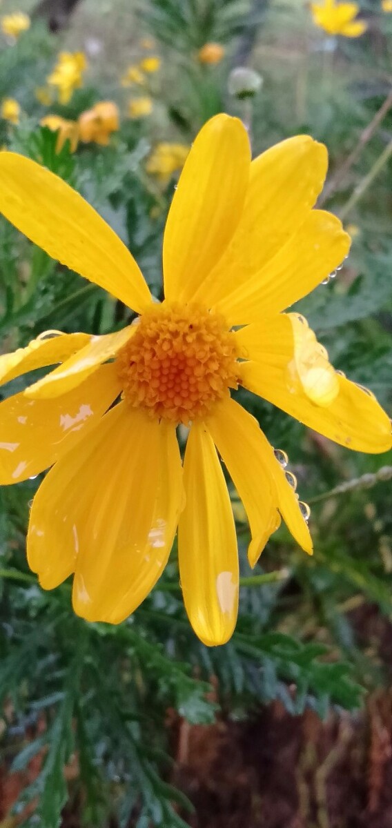 雨后小的故事动态_雨后小的故事动态_雨后小的故事动态