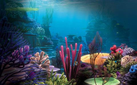 探秘梦幻海底装饰主题：海底宫殿的神秘美学揭示