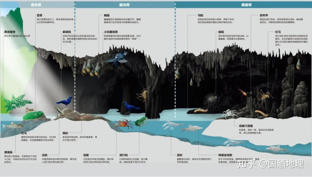 地质绘图软件_地质绘图软件mapjS_地质绘图软件mapjS绘画