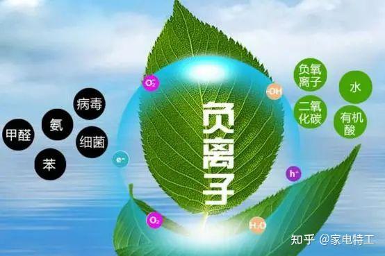 气管质量排名_源质排气管_气管排布