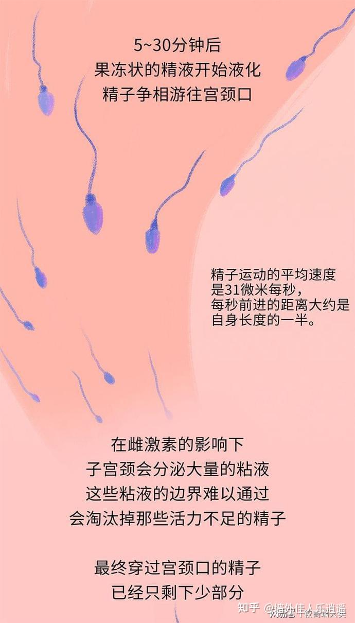 美女pk精子 小游戏_外国游戏美女精灵_游戏女精灵