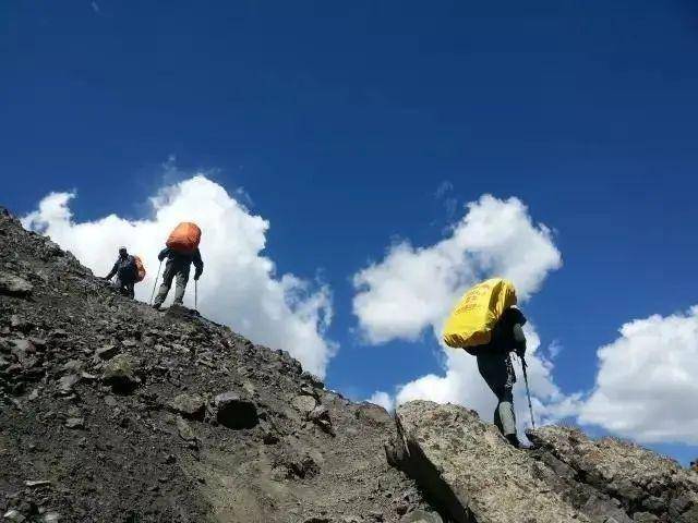 青钱柳叶_楚汉青钱_钱秦钱汉