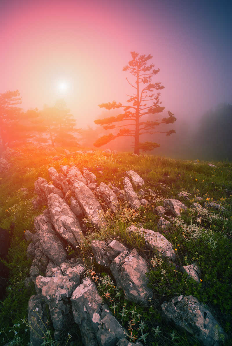 奥格怎么去海山_魔兽世界奥格怎么去海加尔山_奥格瑞玛怎么海山