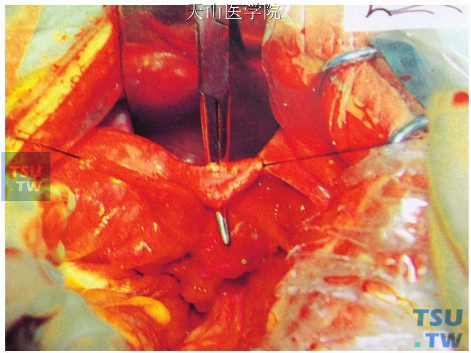 外科模拟手术室简介_外科模拟手术下载_外科手术模拟2013