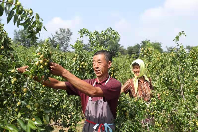 英雄杀孙权的台词_孙权英雄杀_英雄杀孙权台词