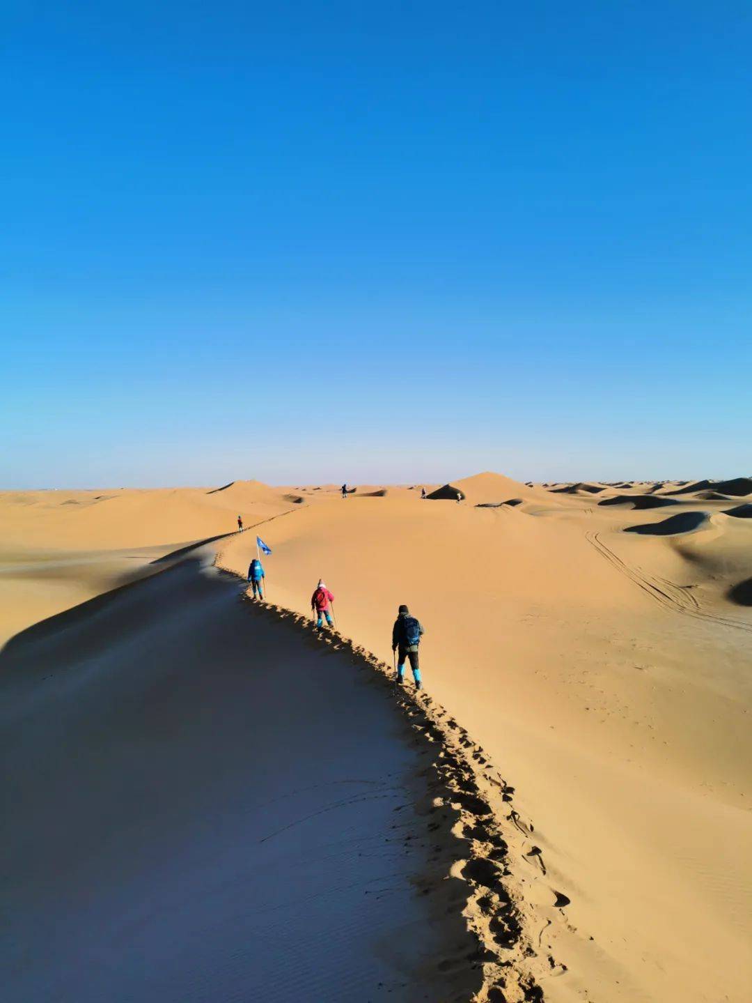 嚎风峡湾任务怎么触发_联盟嚎风峡湾任务线_联盟怎么去嚎风峡湾