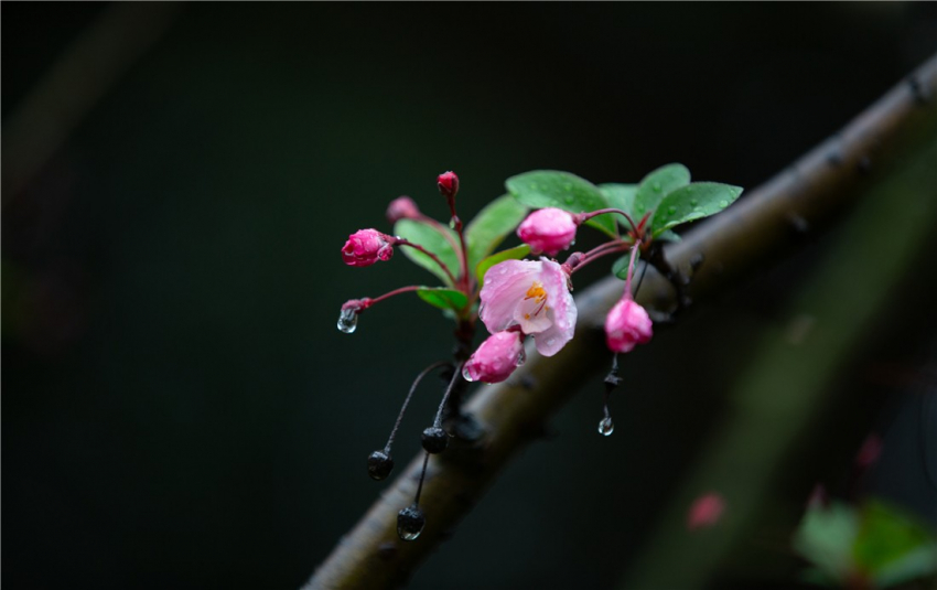 雨后的故事 动态图片_雨后故事gif动态_雨后小故事闪图动态