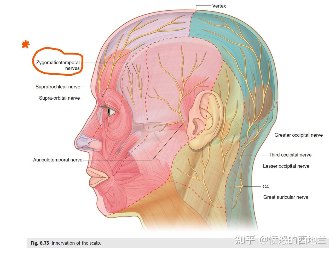 诺斯克尔_诺斯克尔dnf_诺斯克位置