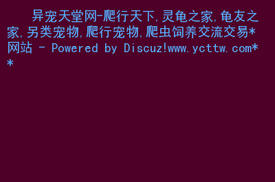 爬行天下论坛交流区_爬行天下论坛app下载_爬行天下论坛交易区