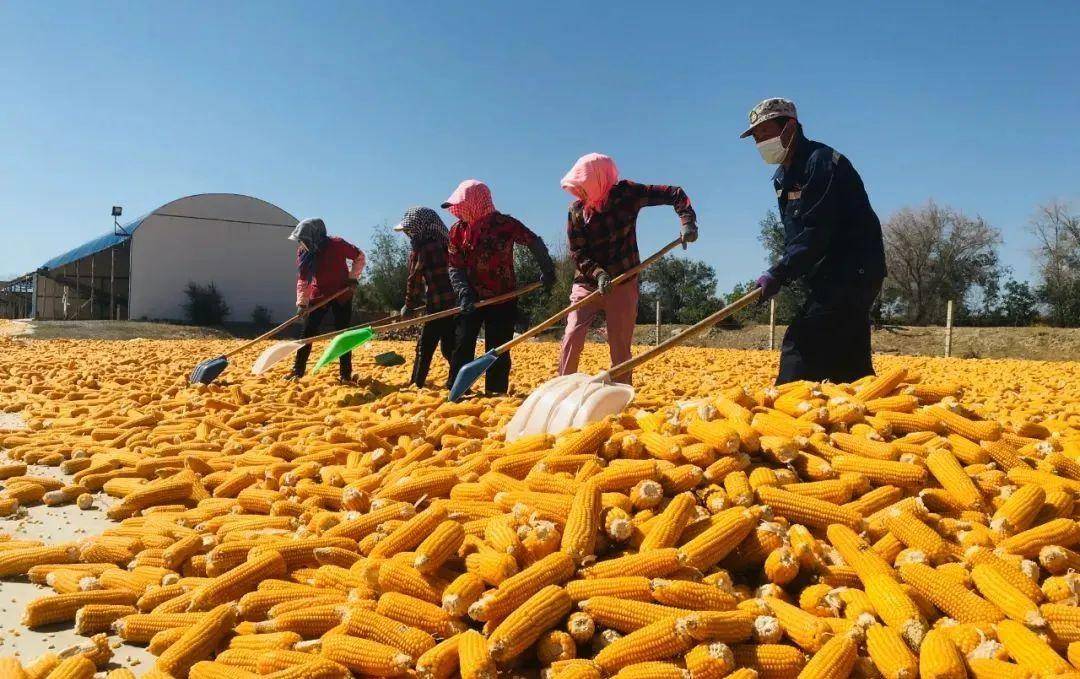 手机qq农场界面怎么变小了_qq农场健康模式怎么取消_qq农场健康模式