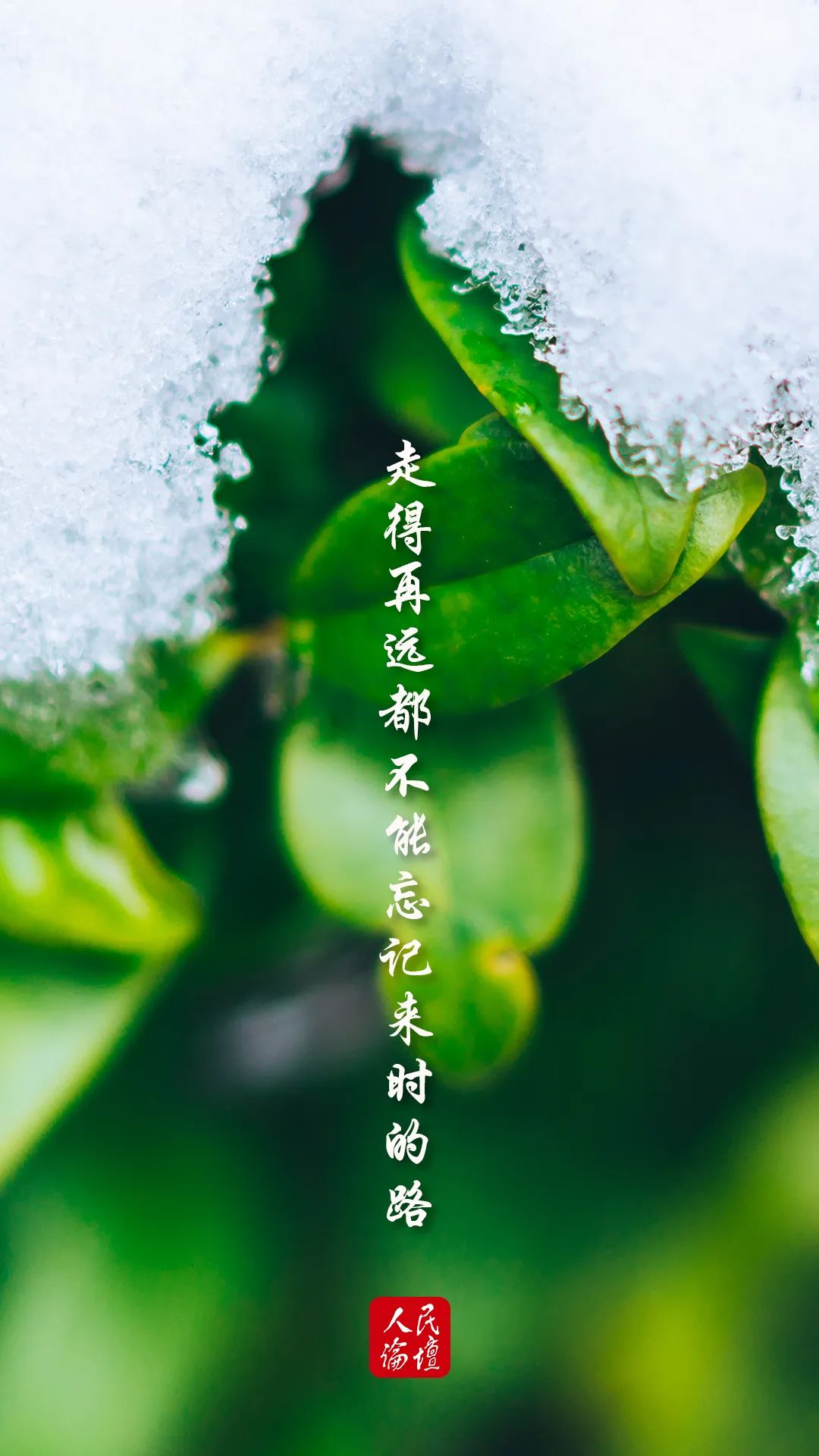 雷文加点_雷文加点_雷文加点