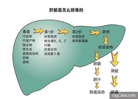 机器人大战攻略_大战机器人游戏_机器人大战j攻略