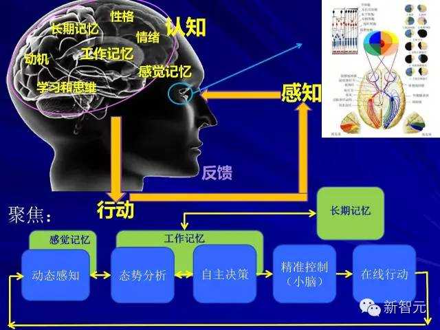 记忆力大揭秘：掌握这些技巧，让你事半功倍