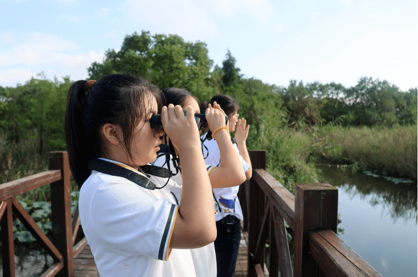 奥鹏学生登录网站_奥鹏学生登陆_登陆学生奥鹏怎么登录