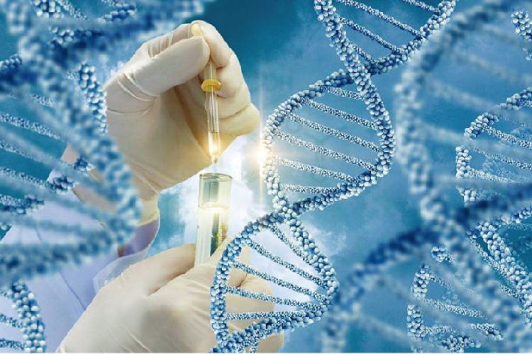 第三次生日dna技能_第三次生日dna_psp第三次生日dna